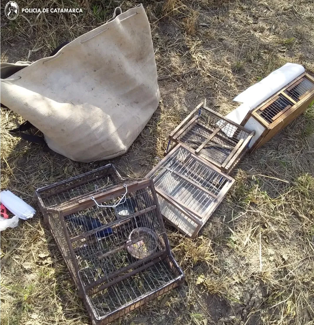 Subcomisaría de Colonia de Achalco (2)