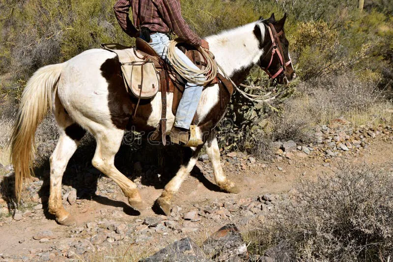 caballo-y-jinete-en-un-rastro-rocoso-112405246