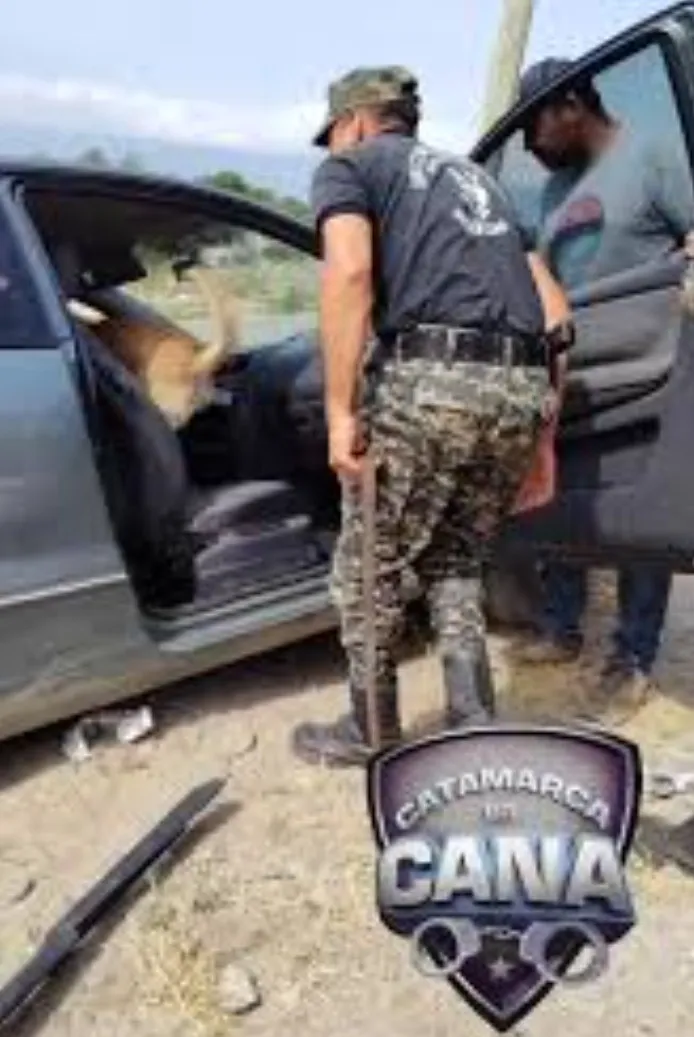 Screenshot_20250321_085645_Google~2