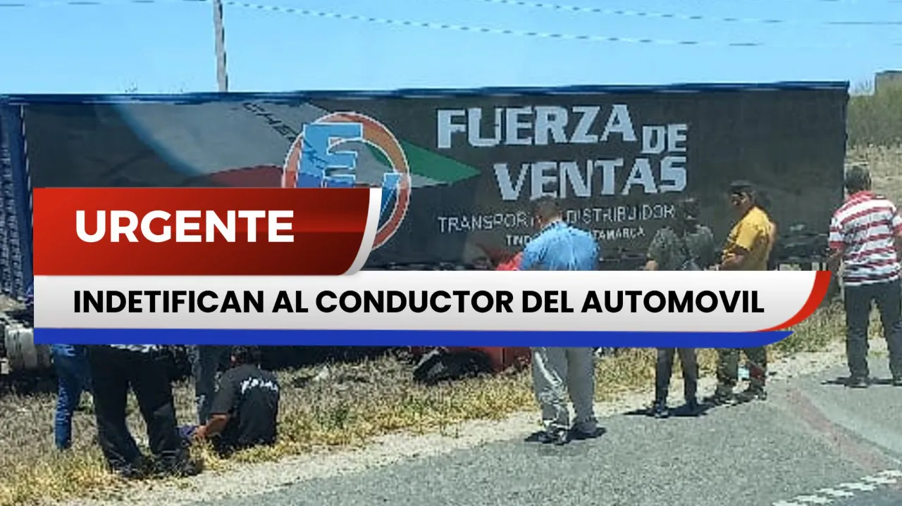 Imagen de WhatsApp 2025-11-17 a las 17.05.04_50a85c99