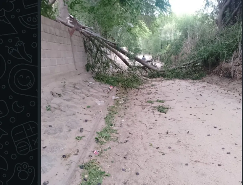 Screenshot_20251016_214310_WhatsApp