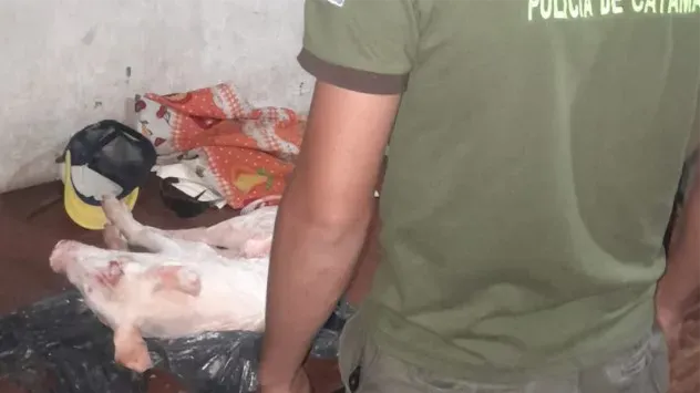 600170440_1292836132879110_1018033844991508315_n