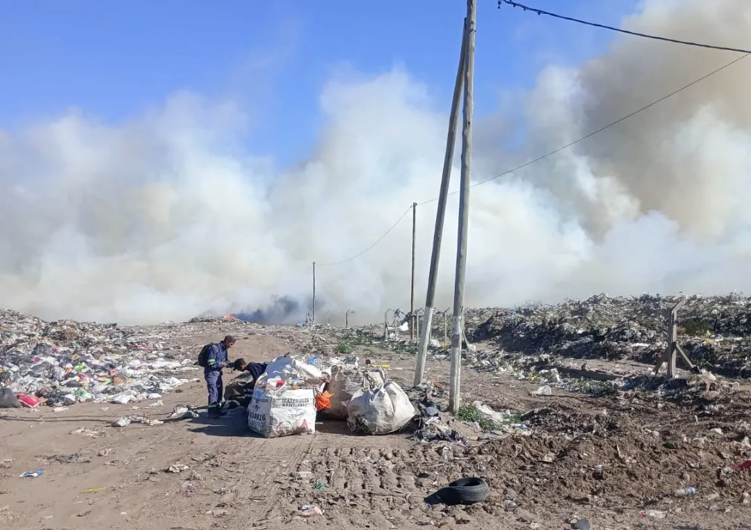 Screenshot_20241204_043154_WhatsApp~2