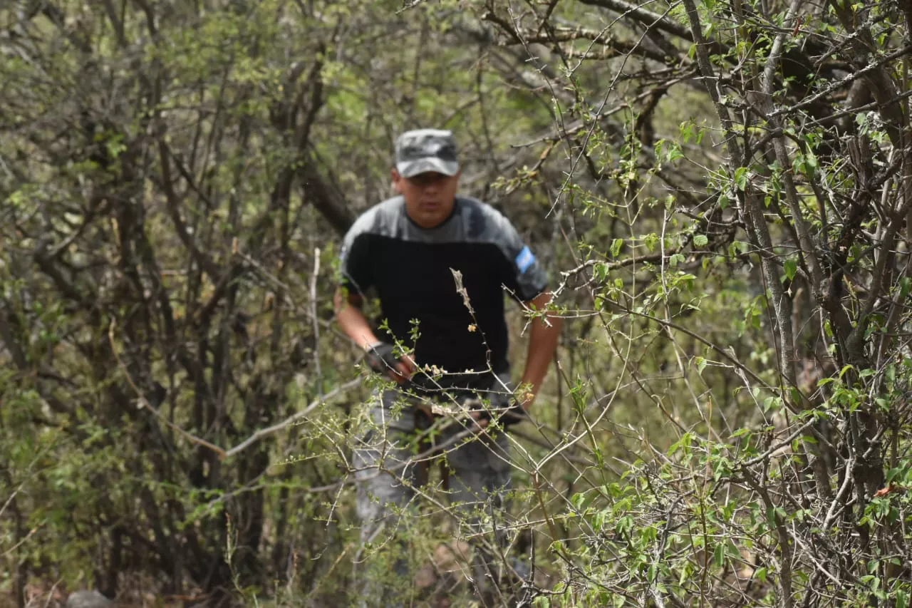 WhatsApp Image 2022-11-09 at 11.36.40 AM (1)