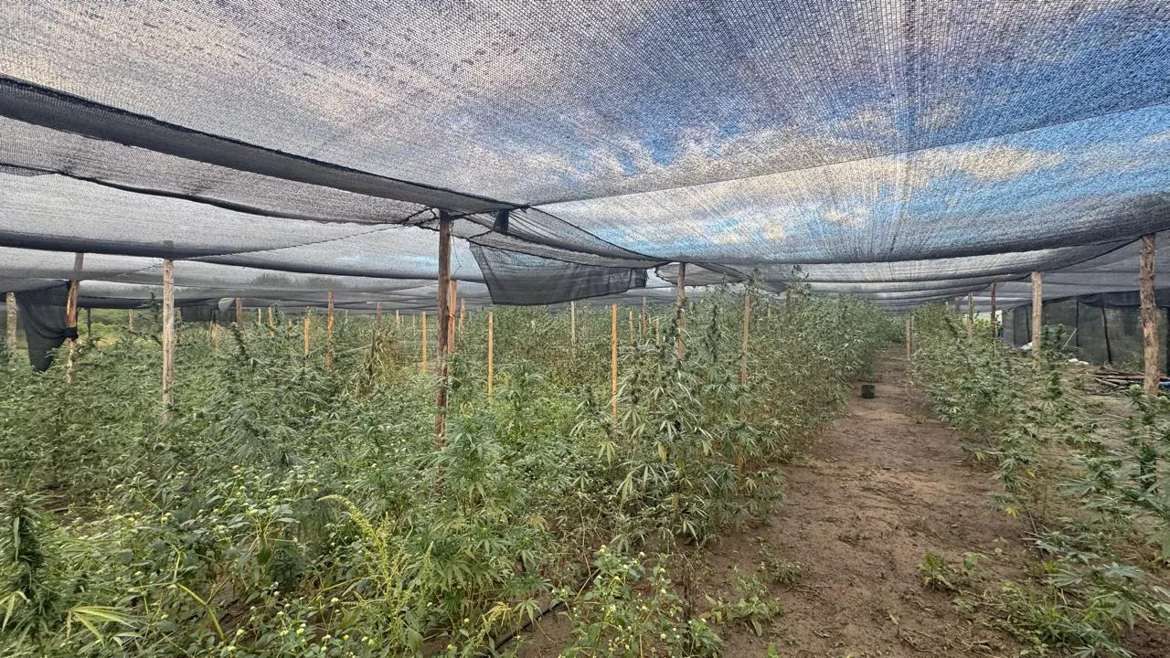 Imagen de WhatsApp 2025-05-21 a las 16.12.15_6d5e8936