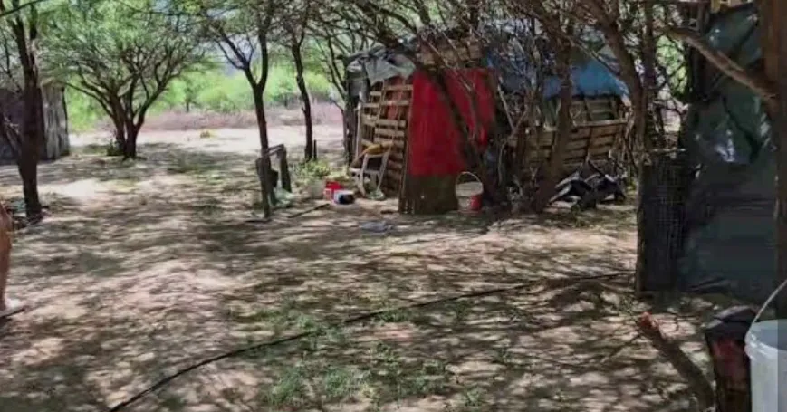 Screenshot_20251106_104623_Google