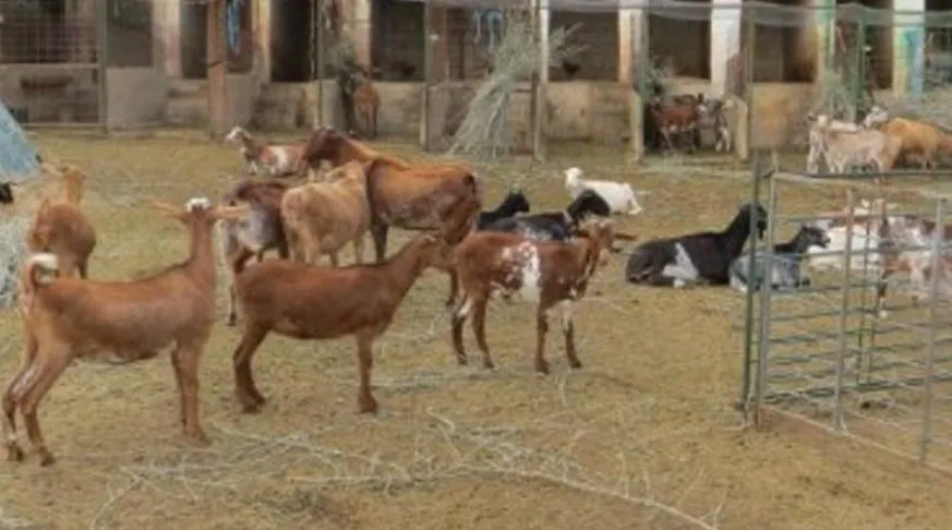 Screenshot_20241215_181339_Google~2