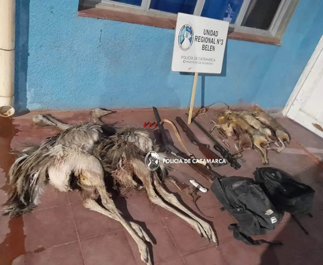 FB_IMG_1705712688342