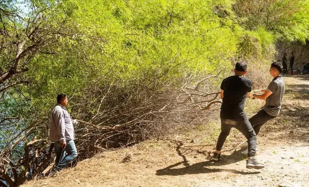 Screenshot_20251115_233754_Facebook