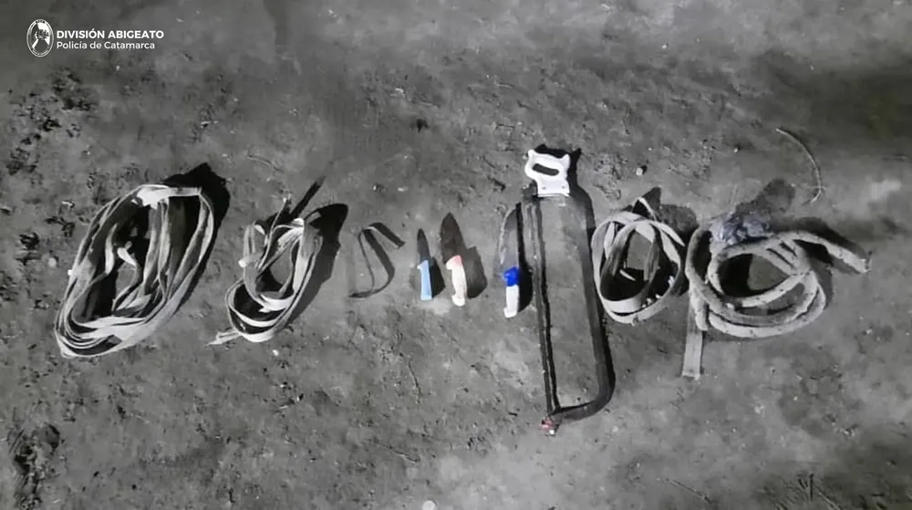 División Abigeato (2)