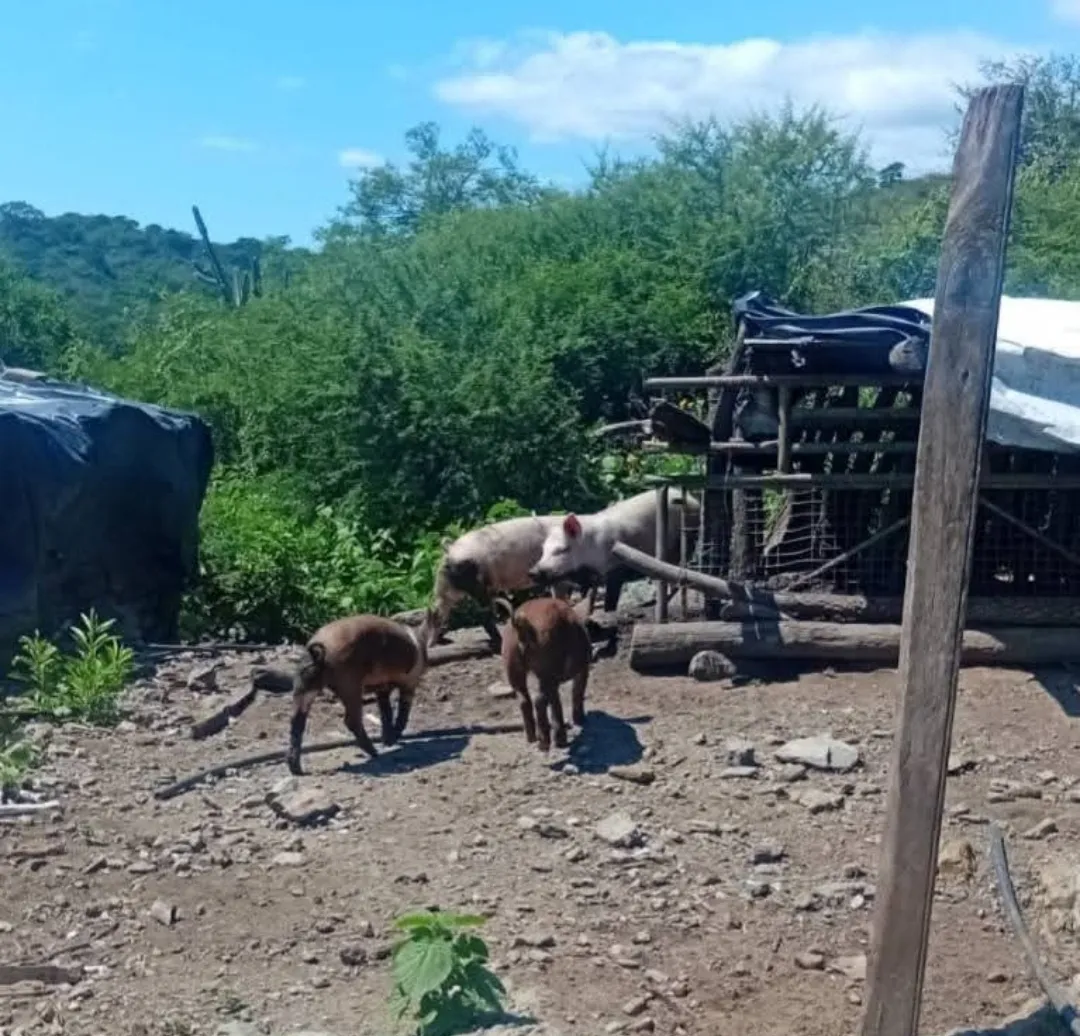 Screenshot_20260122_231351_Facebook