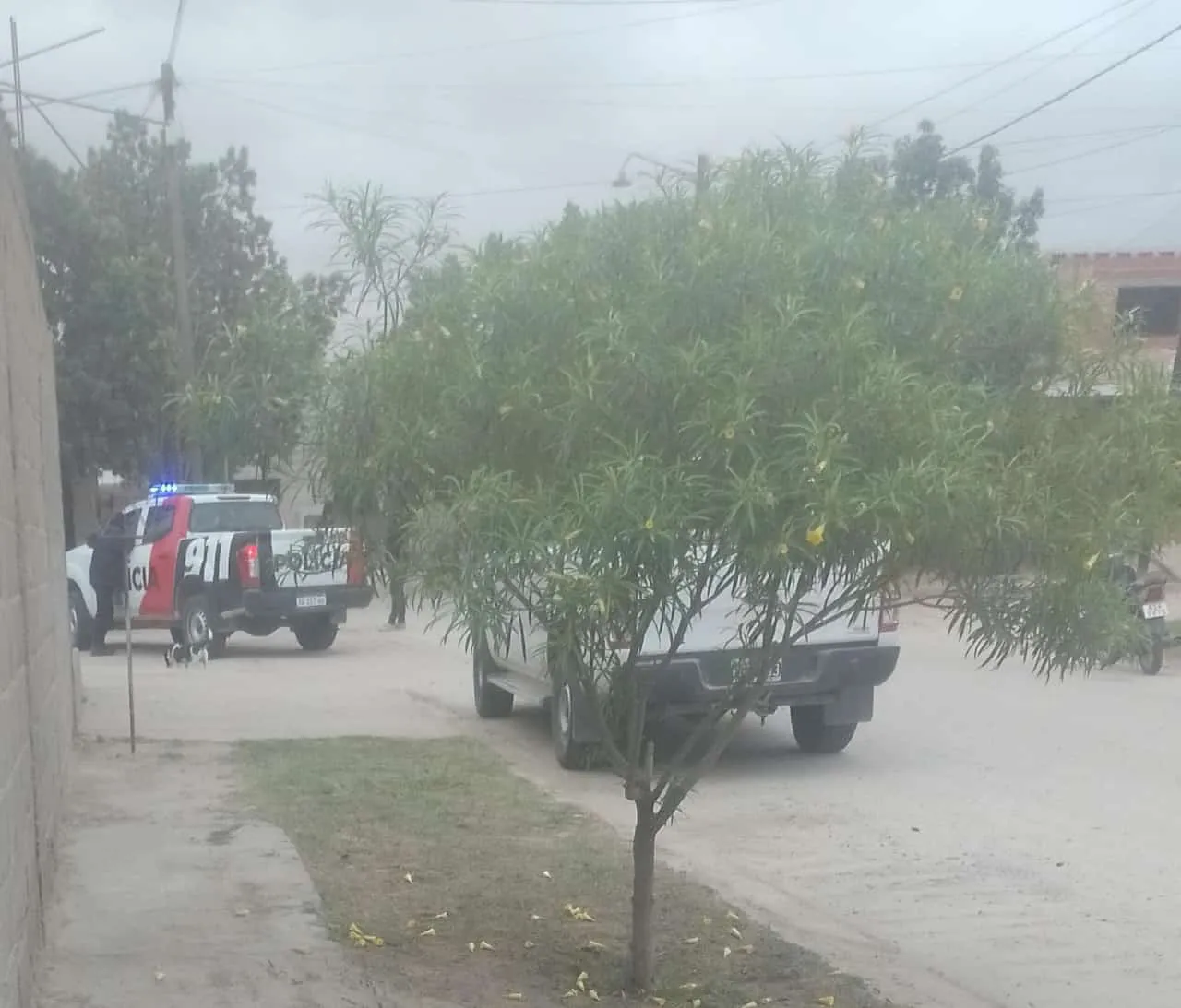 Imagen de WhatsApp 2024-11-05 a las 07.46.39_b8e484dc