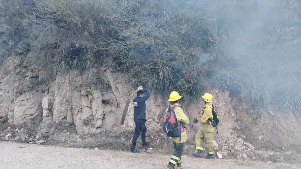 Imagen de WhatsApp 2024-08-03 a las 18.10.38_84a4982f