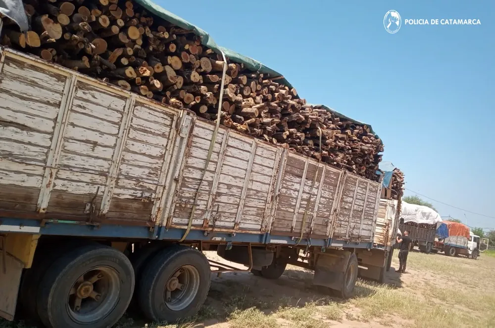 Secuestro Recreo (01)