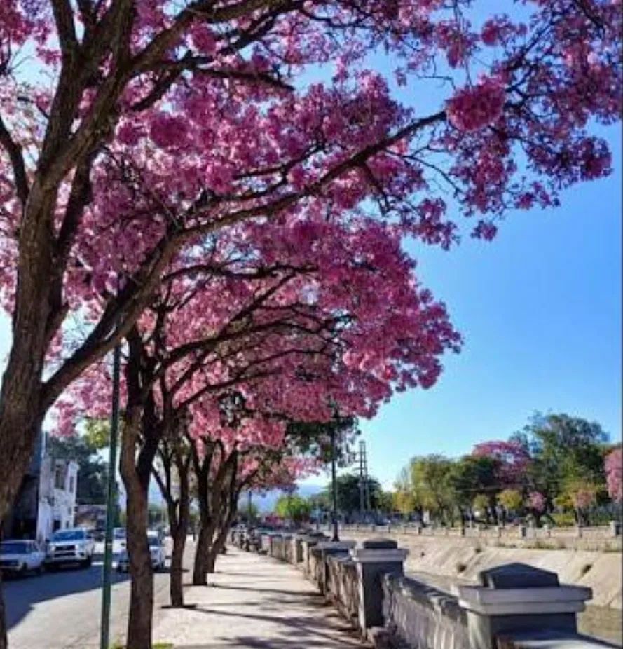 Screenshot_20251110_093235_Google