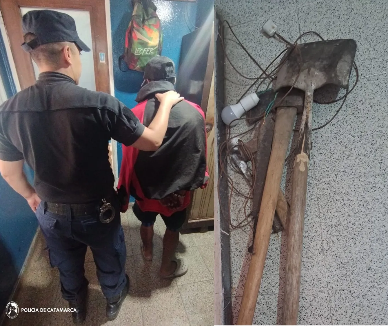 Aprehension y Secuestro Cria 7