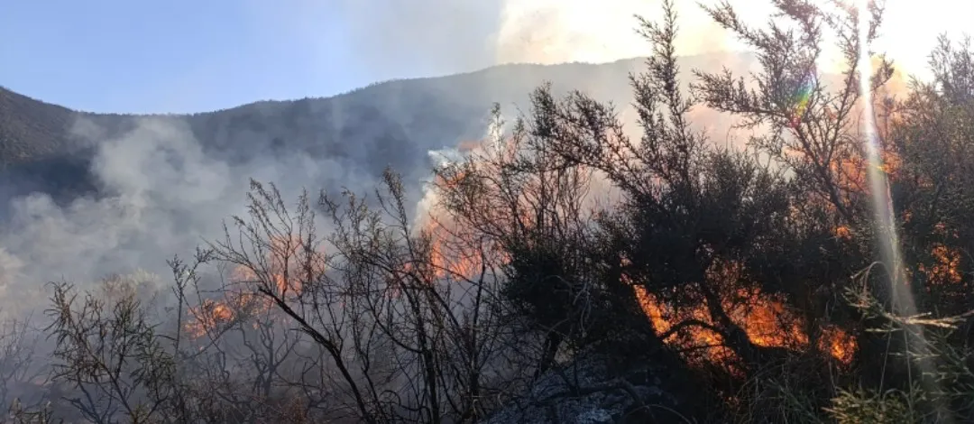 Screenshot_20250829_162103_WhatsApp