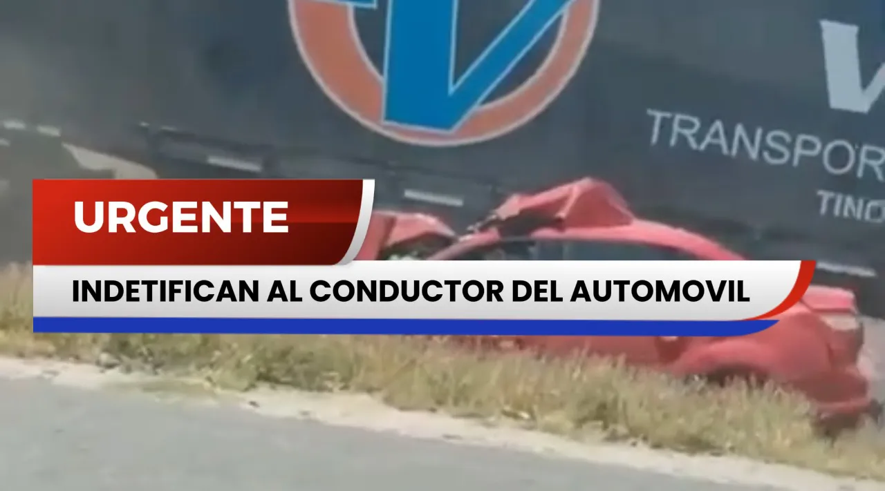 Imagen de WhatsApp 2025-11-17 a las 16.39.29_714c1bfe