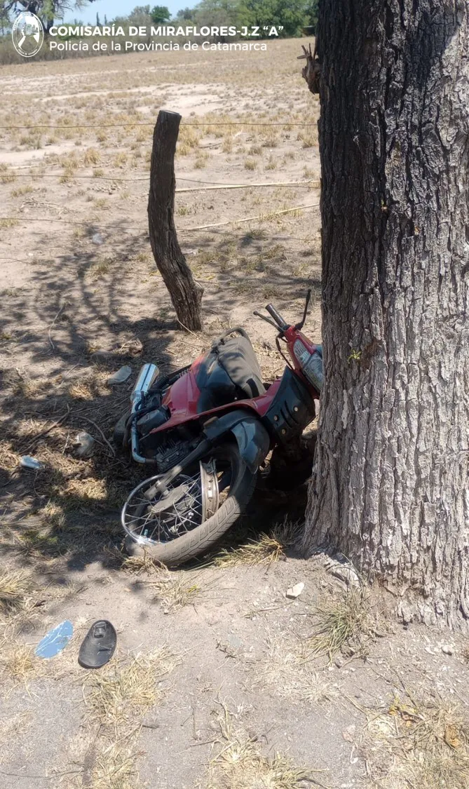 Imagen de WhatsApp 2025-11-26 a las 15.19.00_130921ab