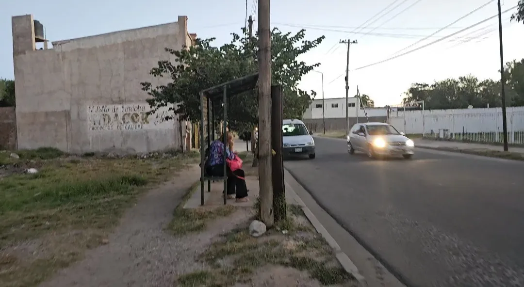 Screenshot_20240409_113029_Gallery~2