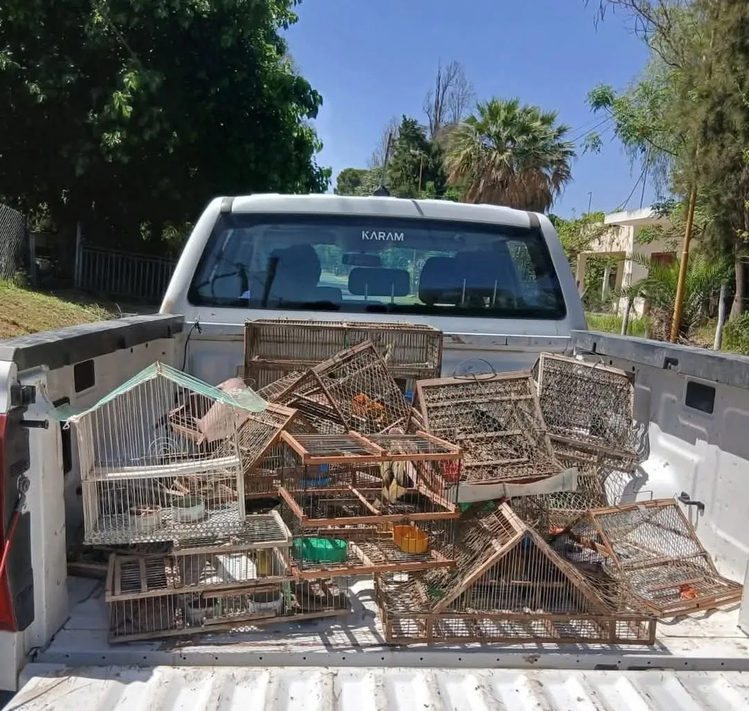 Screenshot_20250926_165718_Facebook