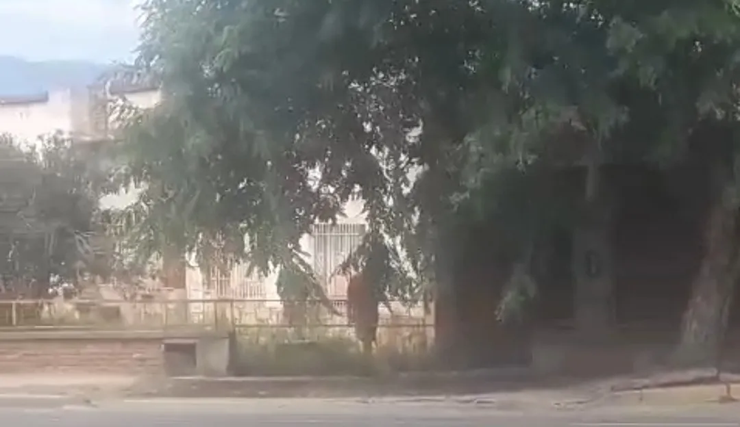 Screenshot_20240326_221150_WhatsApp~2