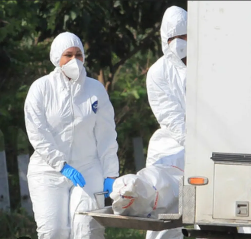 Screenshot_20260201_110304_Google