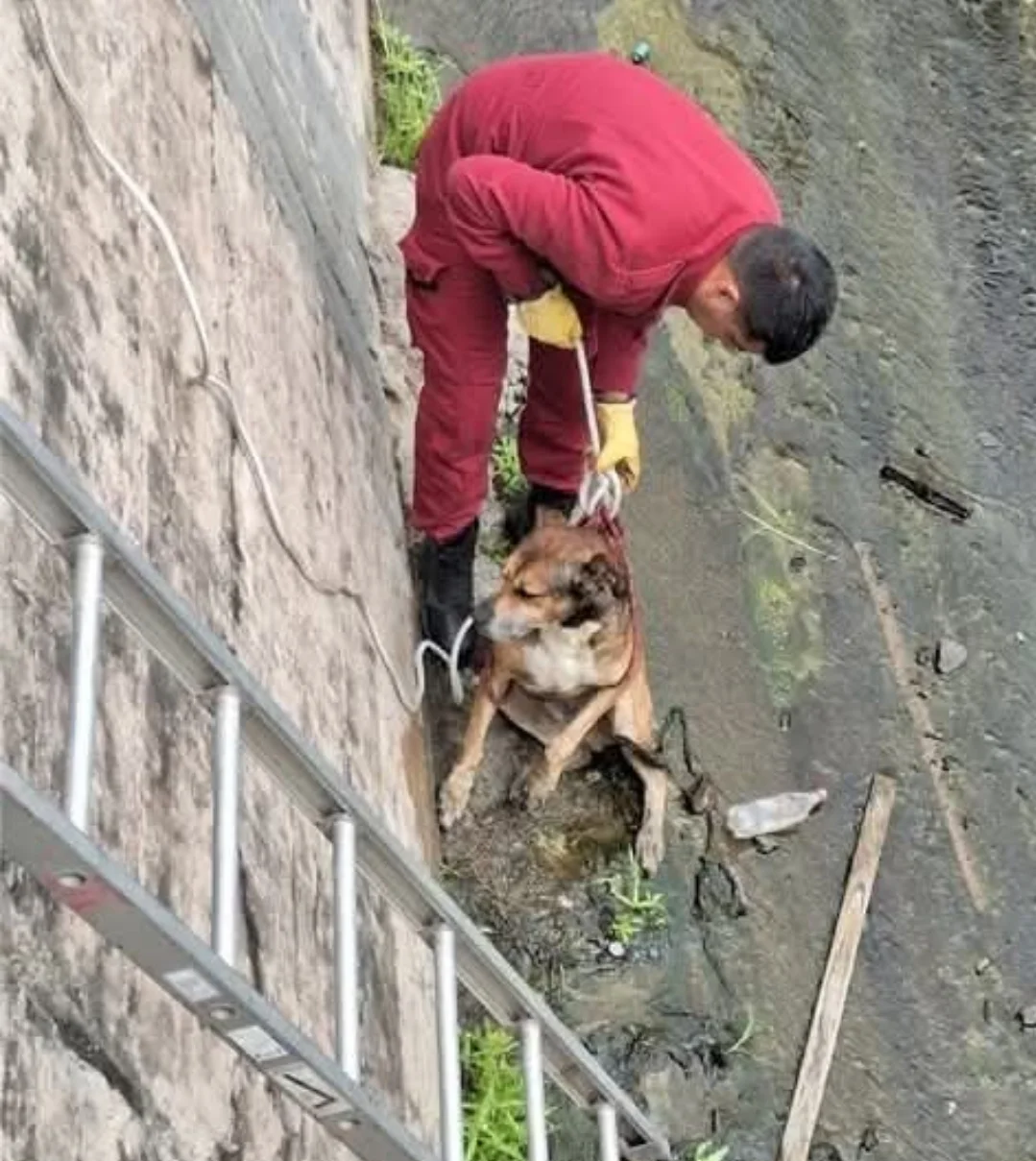 Screenshot_20260323_235031_Facebook