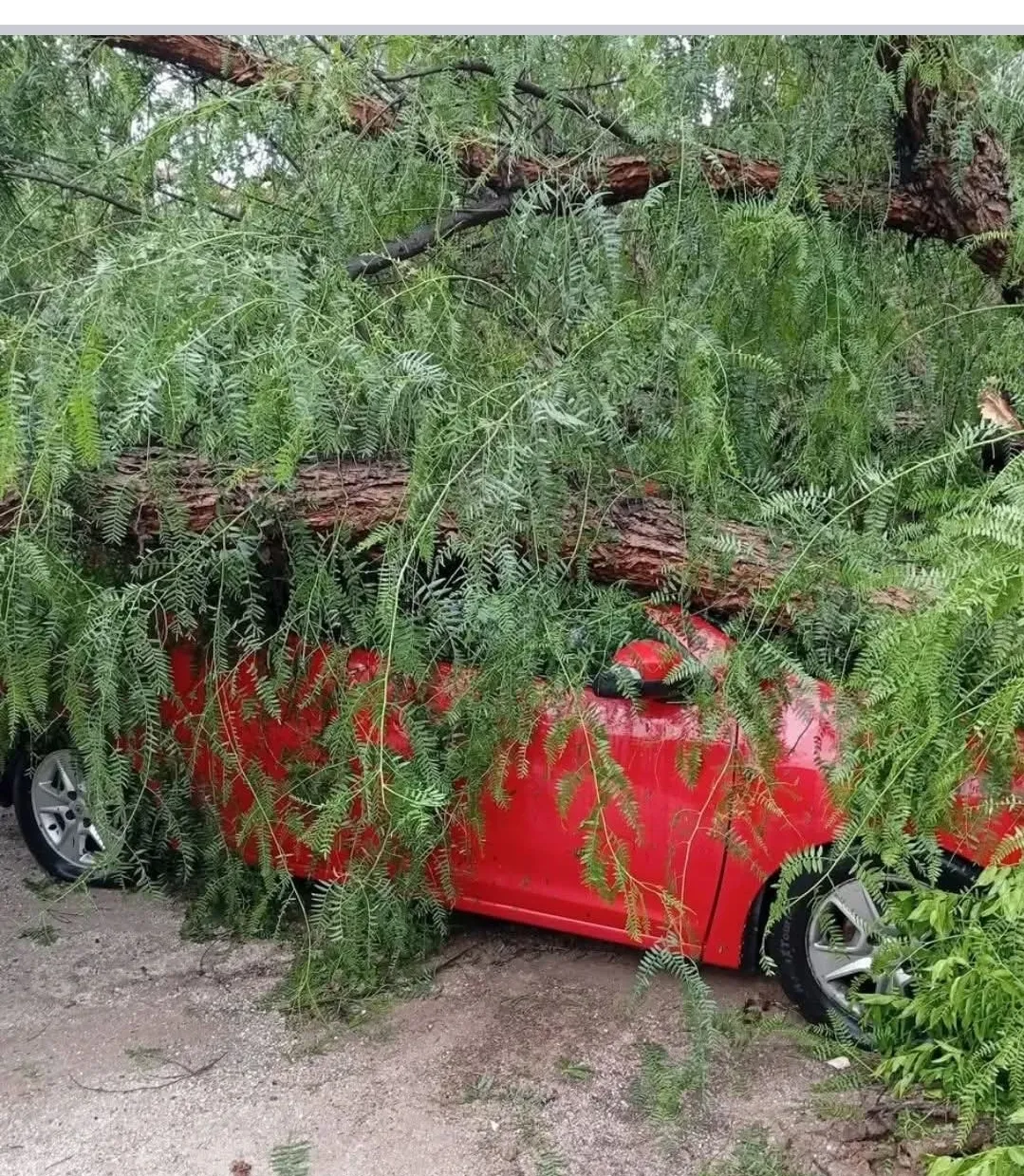 Screenshot_20260116_181852_Facebook