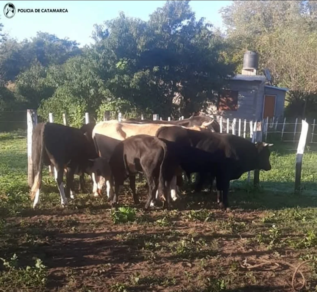 Screenshot_20260401_013934_Facebook