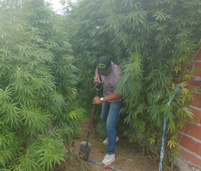 ALLANAMIENTO-DROGA-MARABÓ-7