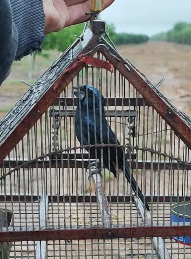 Screenshot_20251119_161841_Google