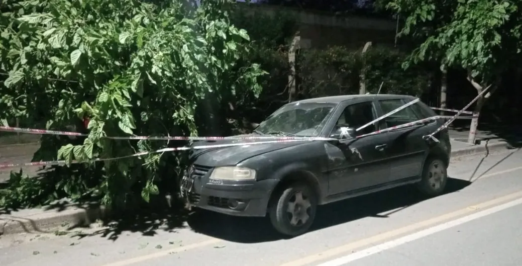 Screenshot_20251110_084332_WhatsApp