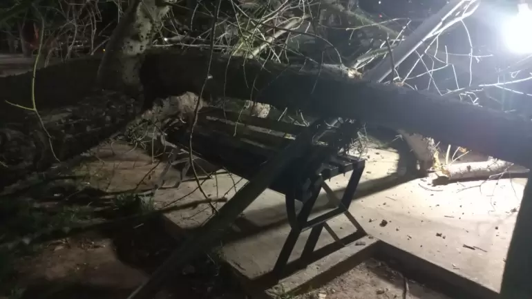 65879df4bfbee__770x770