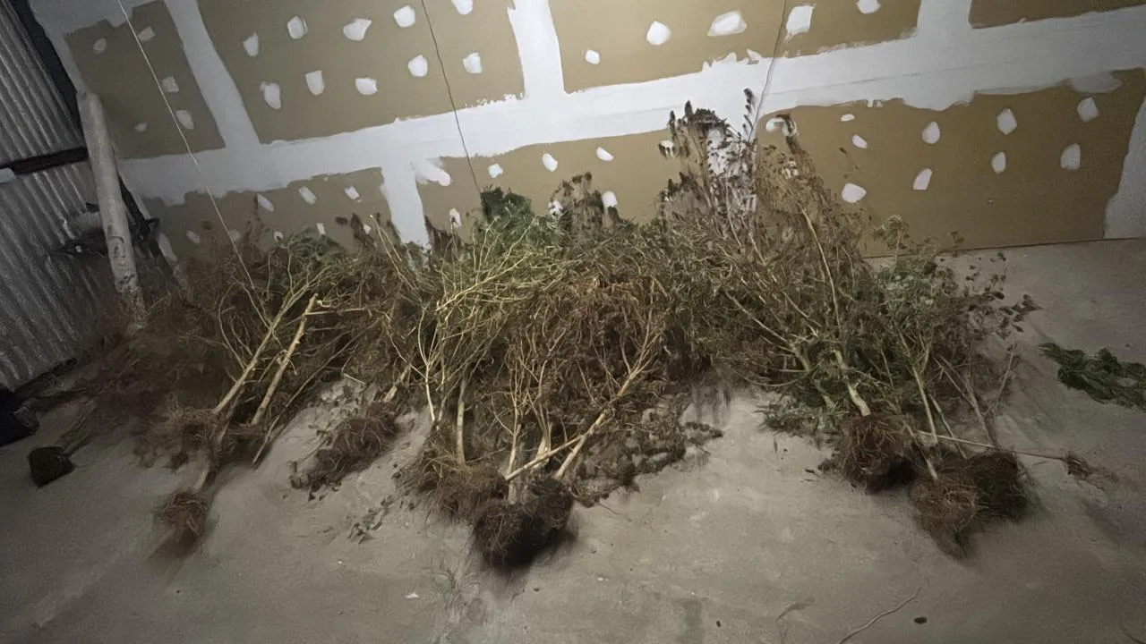 Imagen de WhatsApp 2025-05-21 a las 16.12.15_7003a7bb