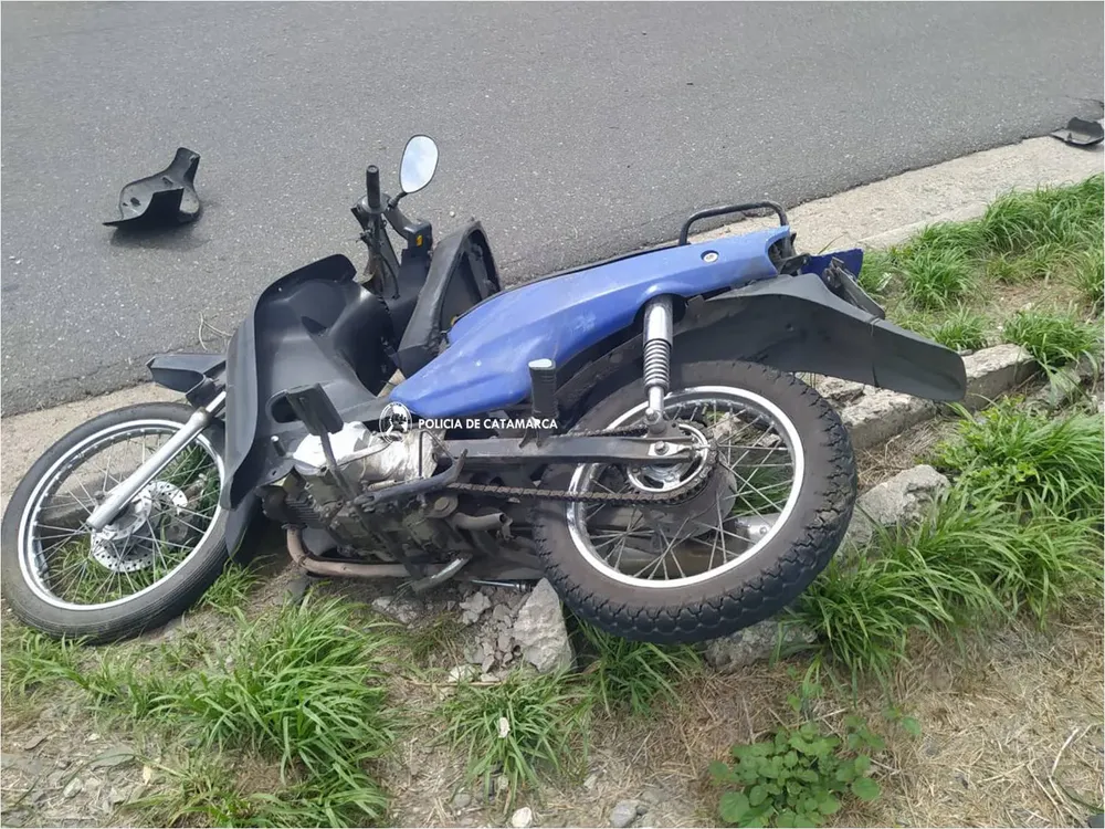 Siniestro vial Cria 11