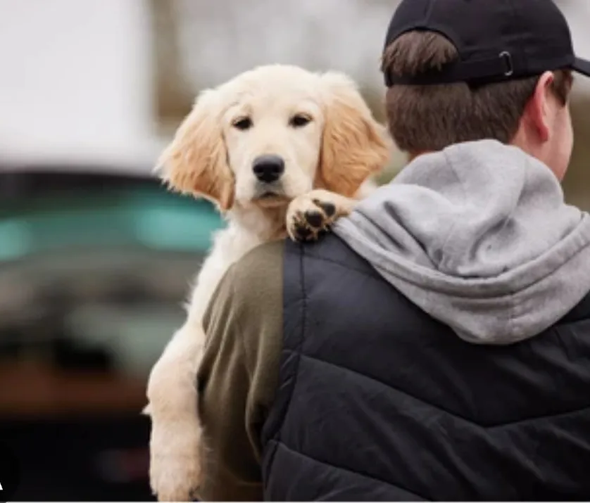 Screenshot_20251127_174656_Google