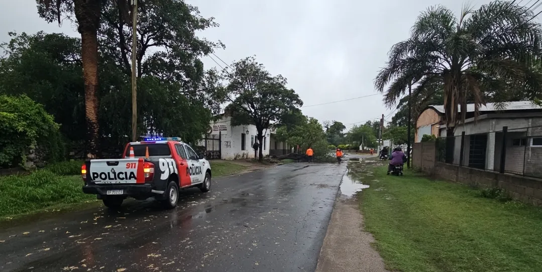 Screenshot_20251215_090909_Gallery