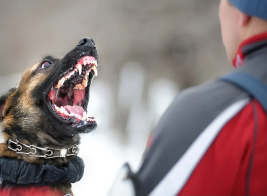 Screenshot_20260324_160012_Google