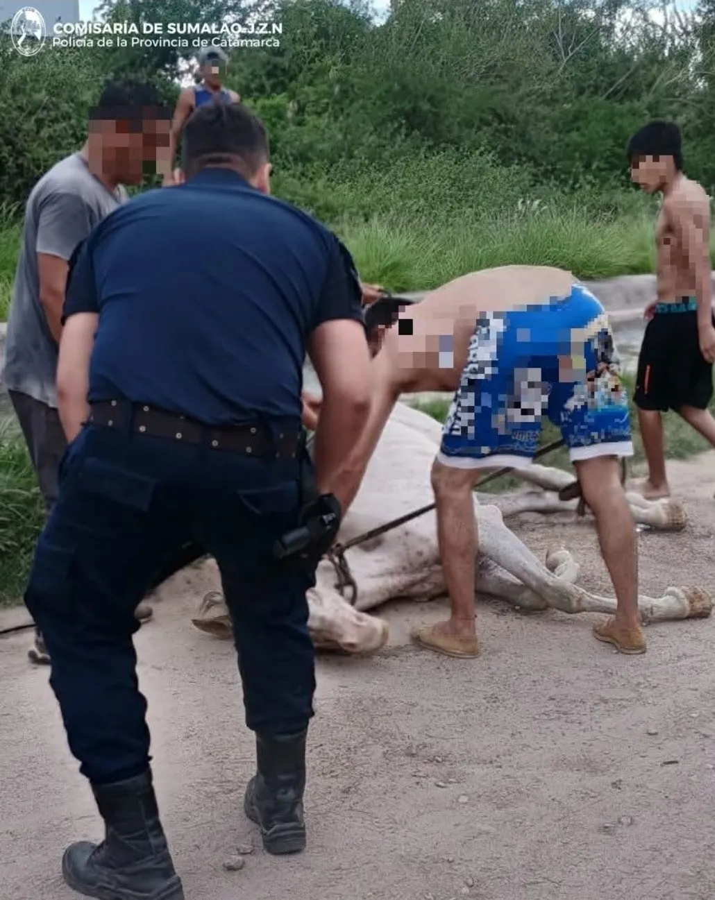 Screenshot_20260114_141617_Facebook