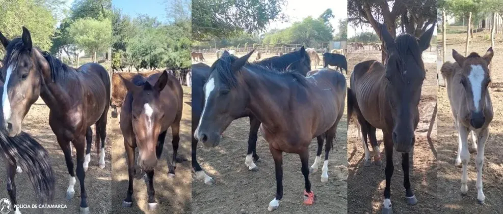 Screenshot_20241231_213113_Chrome~2