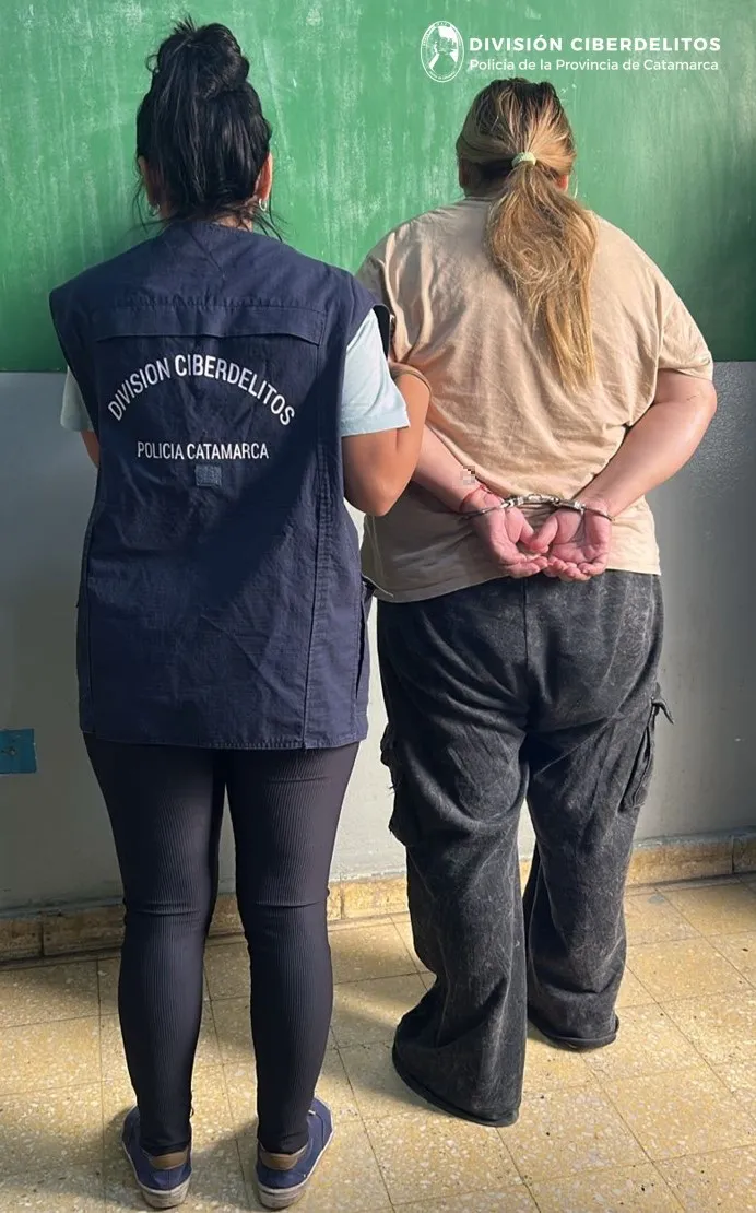 División Ciberdelitos (1)