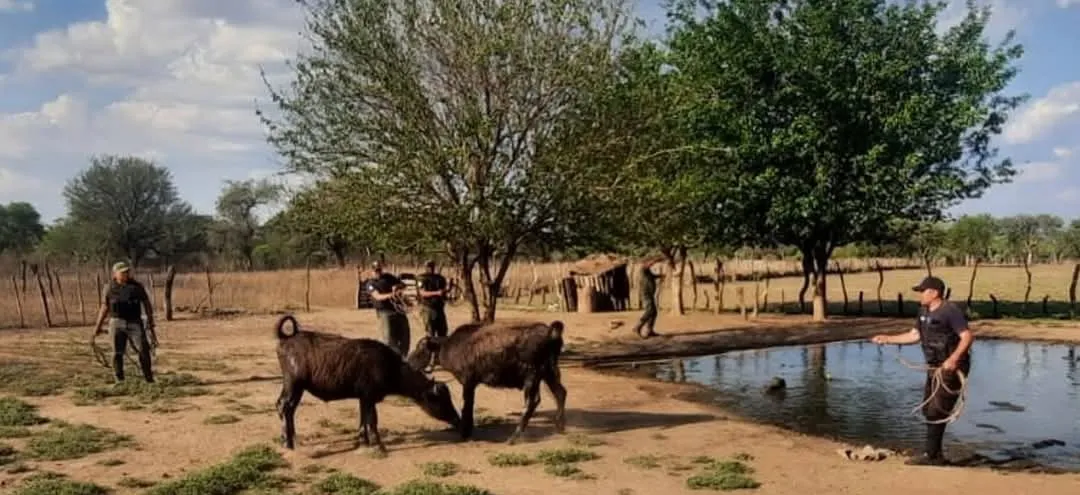 Screenshot_20250920_151209_Facebook