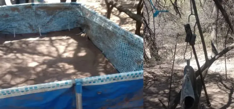 FB_IMG_1762646709615