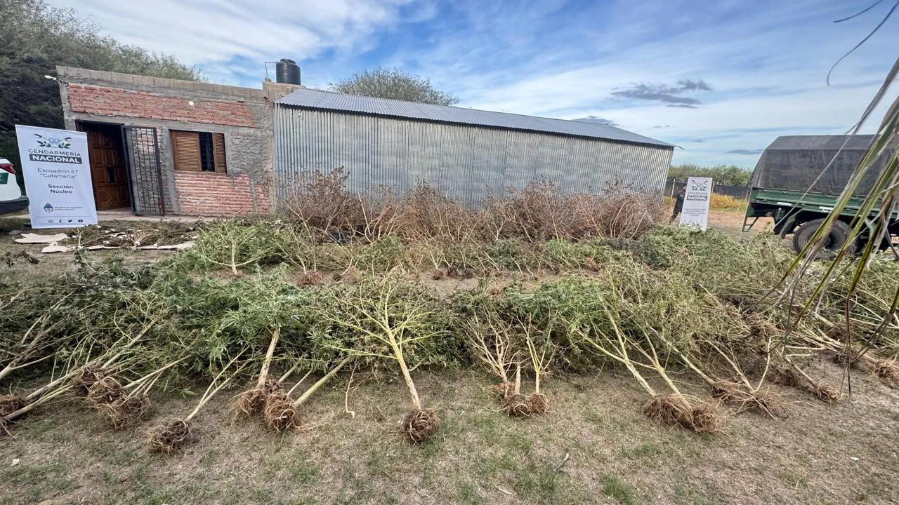 Imagen de WhatsApp 2025-05-21 a las 16.12.15_8458bf34