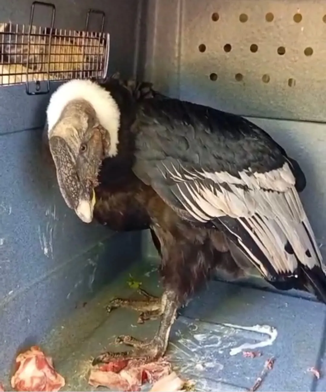 Screenshot_20260122_145352_Facebook