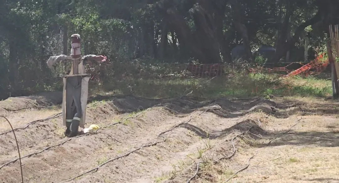 Screenshot_20240205_160212_Gallery~2