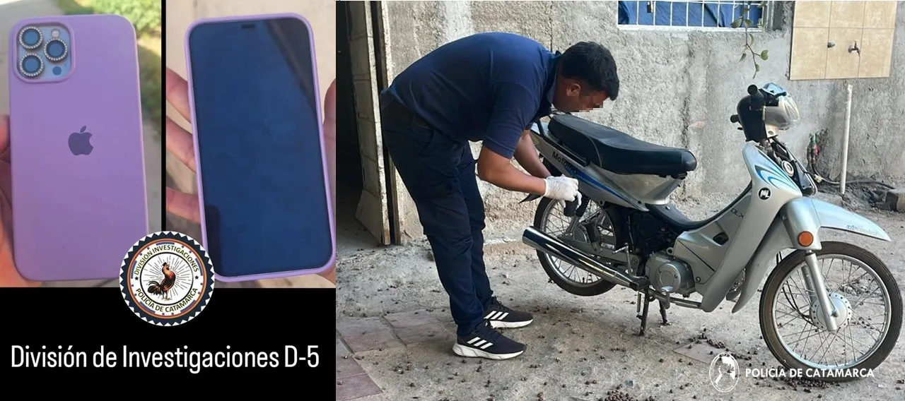 Div. Investigaciones (4)