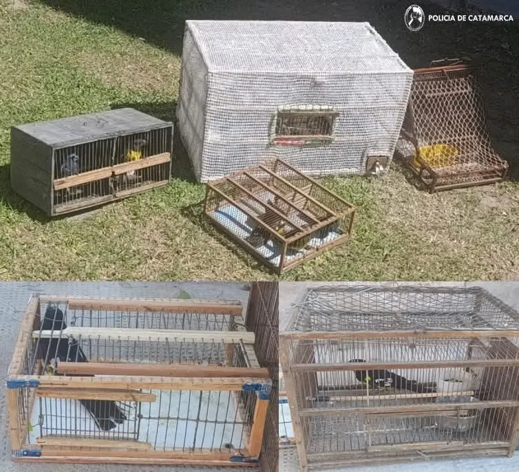 FB_IMG_1767619639793