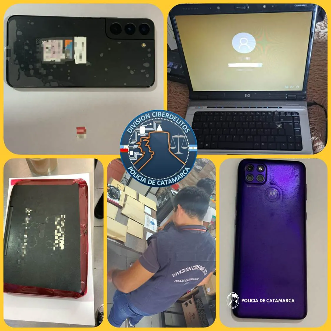 Div. Ciberdelitos
